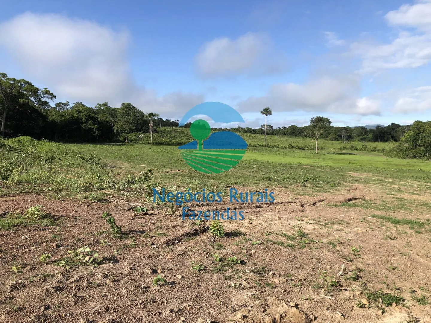 Fazenda à venda de 561 ha em Porangatu, GO, Brasil