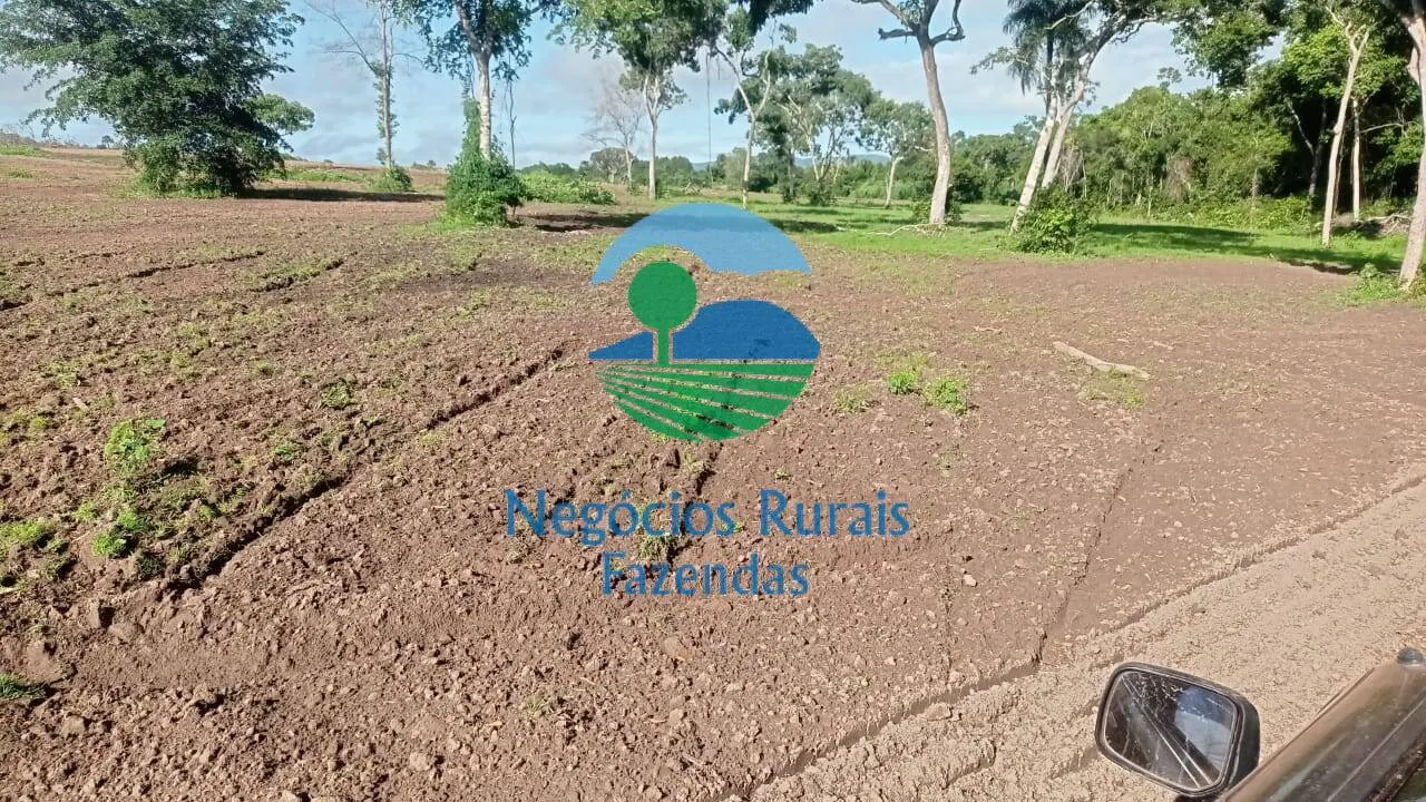 Fazenda à venda de 561 ha em Porangatu, GO, Brasil
