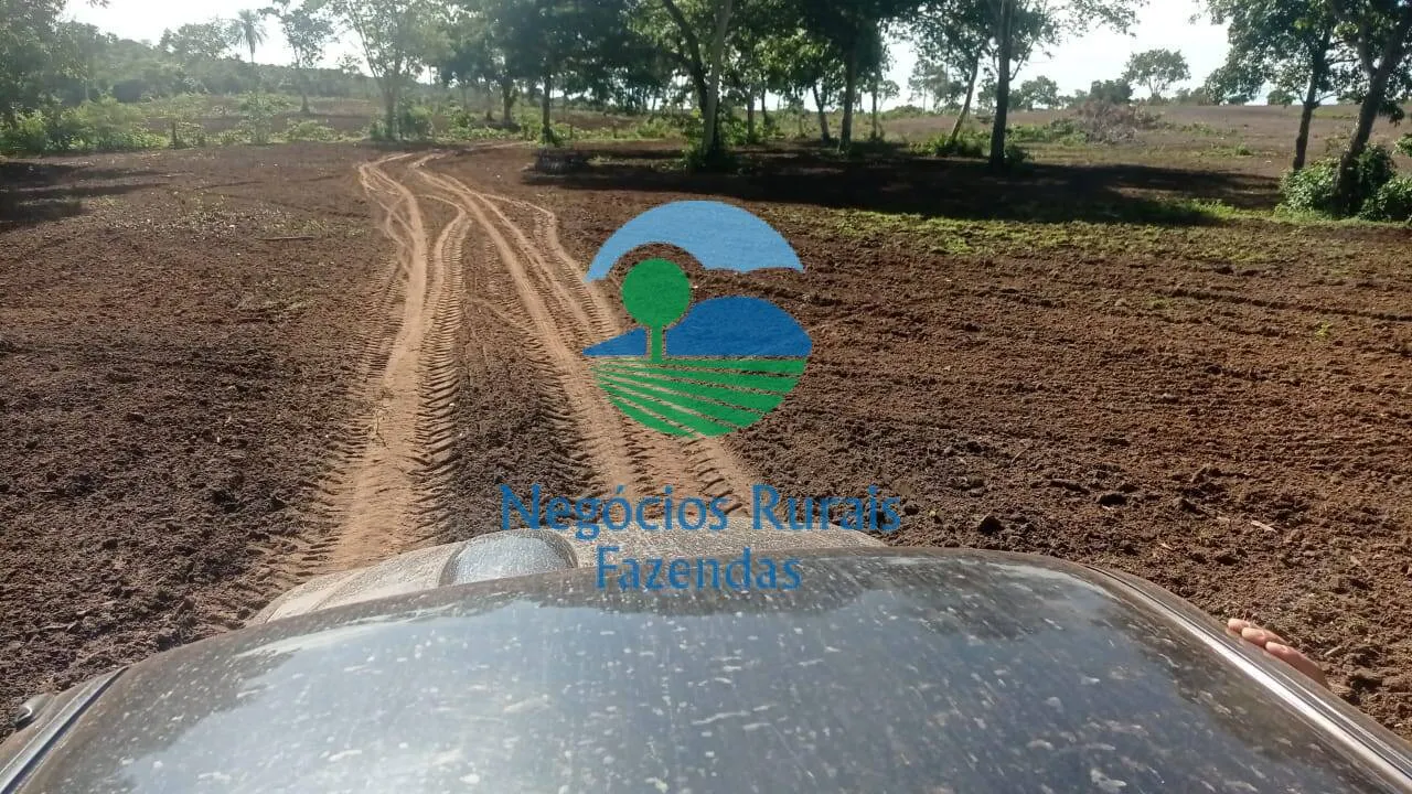 Fazenda à venda de 561 ha em Porangatu, GO, Brasil