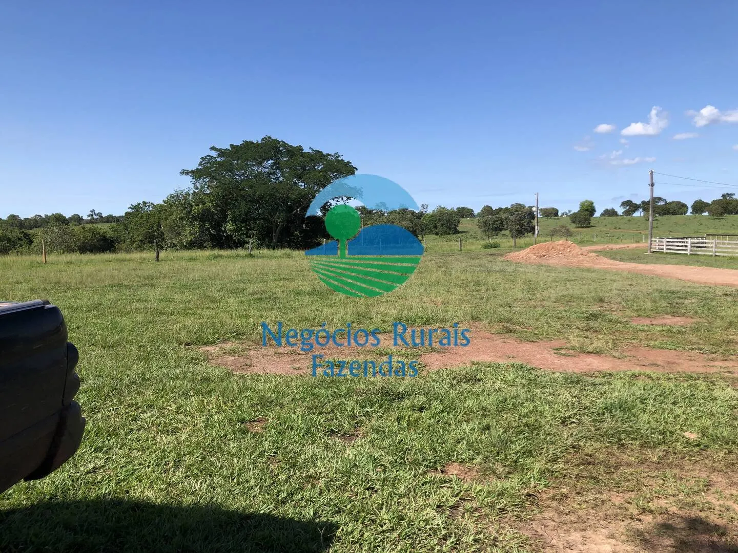 Fazenda à venda de 561 ha em Porangatu, GO, Brasil