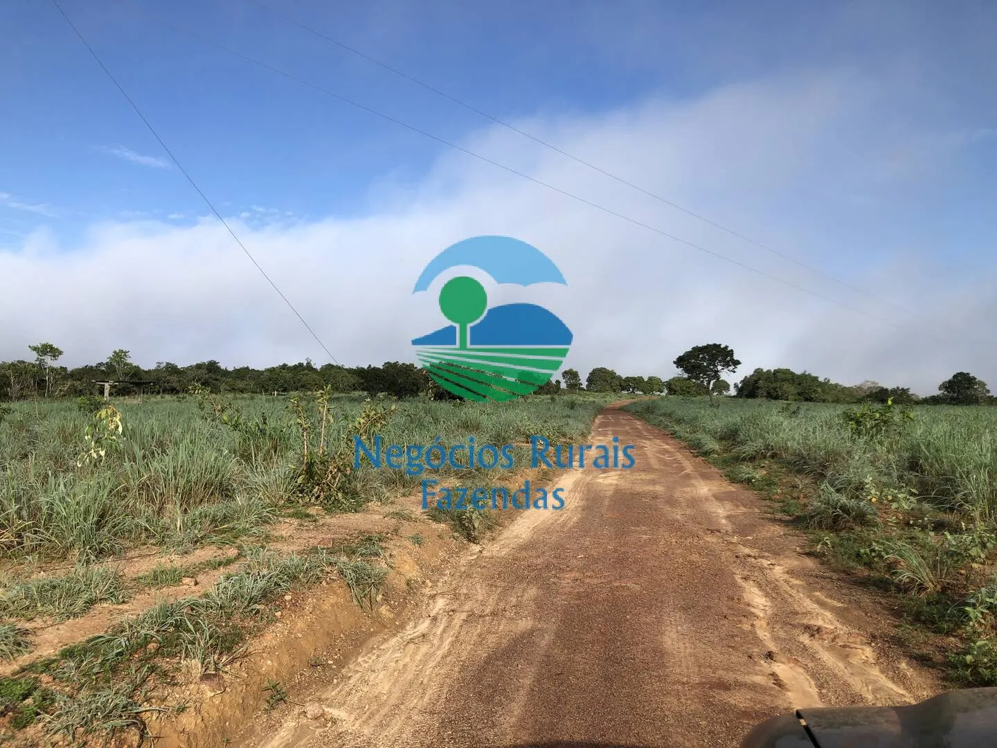 Fazenda à venda de 561 ha em Porangatu, GO, Brasil