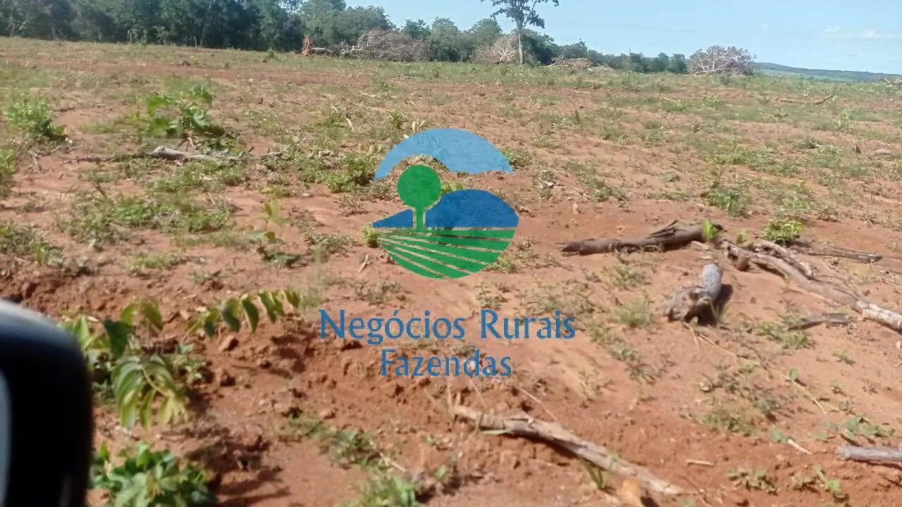 Fazenda à venda de 561 ha em Porangatu, GO, Brasil