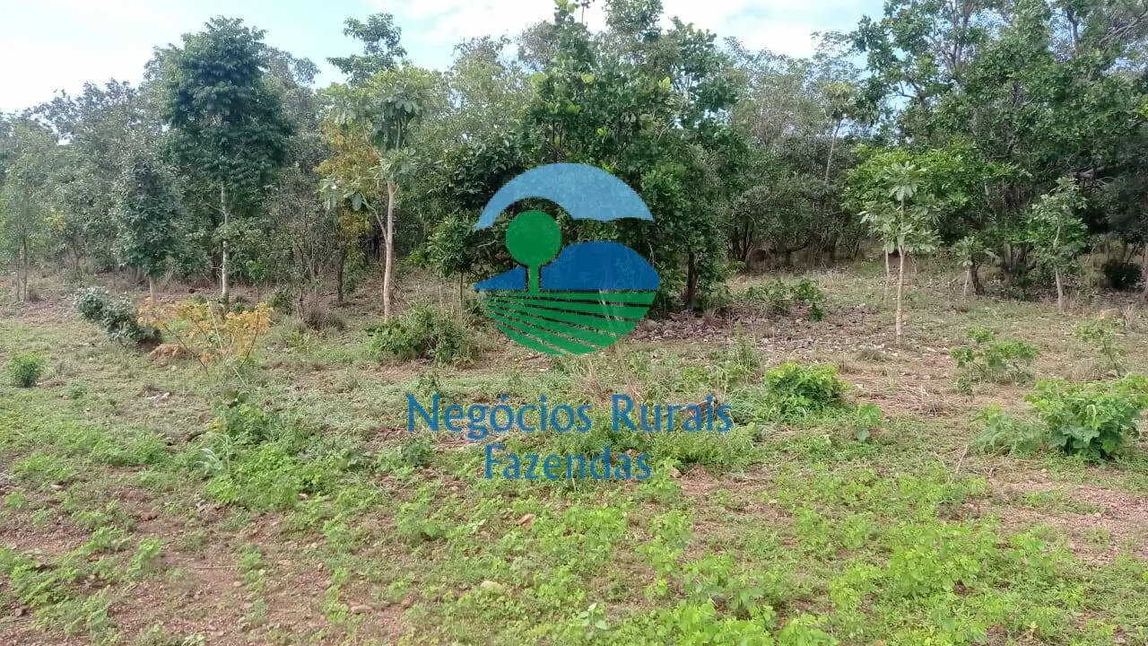 Fazenda à venda de 561 ha em Porangatu, GO, Brasil