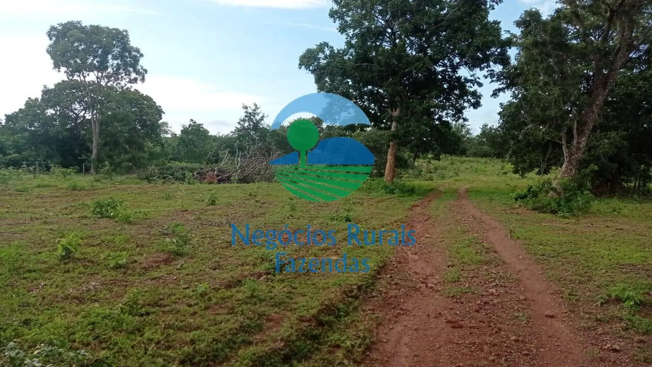 Fazenda à venda de 561 ha em Porangatu, GO, Brasil