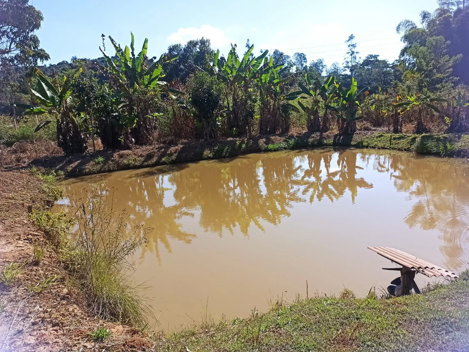 Sítio à venda de 2 ha em Monteiro Lobato, SP, Brasil