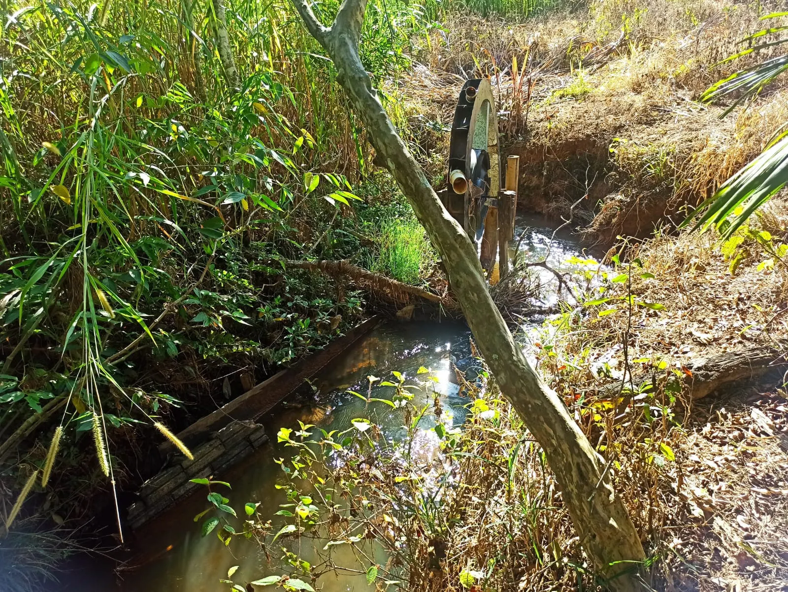 Sítio à venda de 2 ha em Monteiro Lobato, SP, Brasil