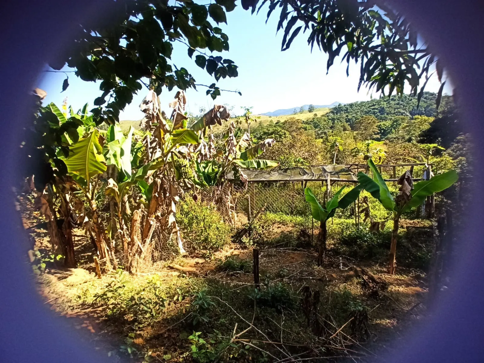 Sítio à venda de 2 ha em Monteiro Lobato, SP, Brasil