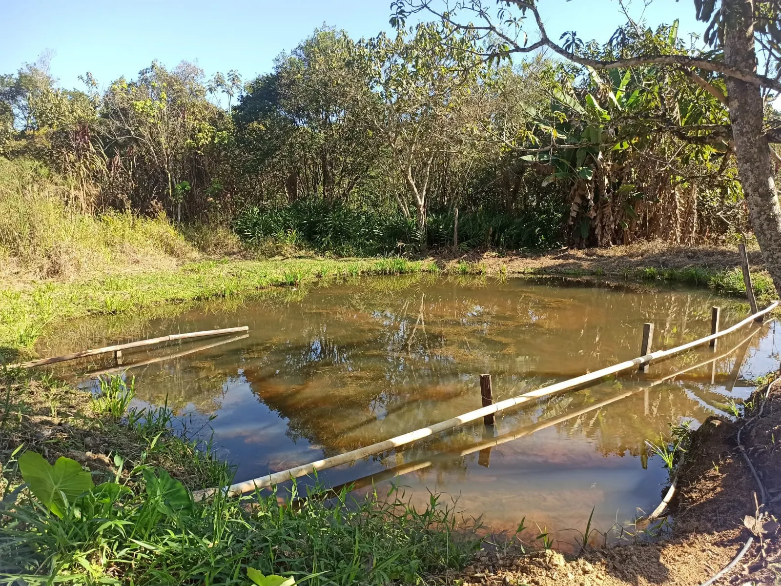 Sítio à venda de 2 ha em Monteiro Lobato, SP, Brasil