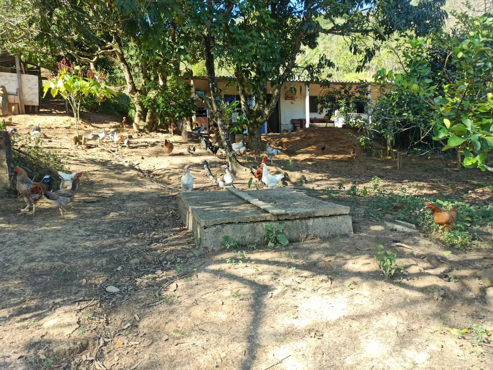 Sítio à venda de 2 ha em Monteiro Lobato, SP, Brasil