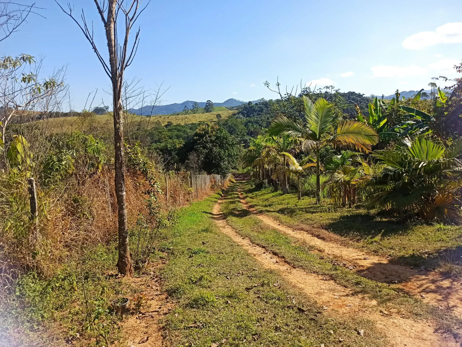 Sítio à venda de 2 ha em Monteiro Lobato, SP, Brasil