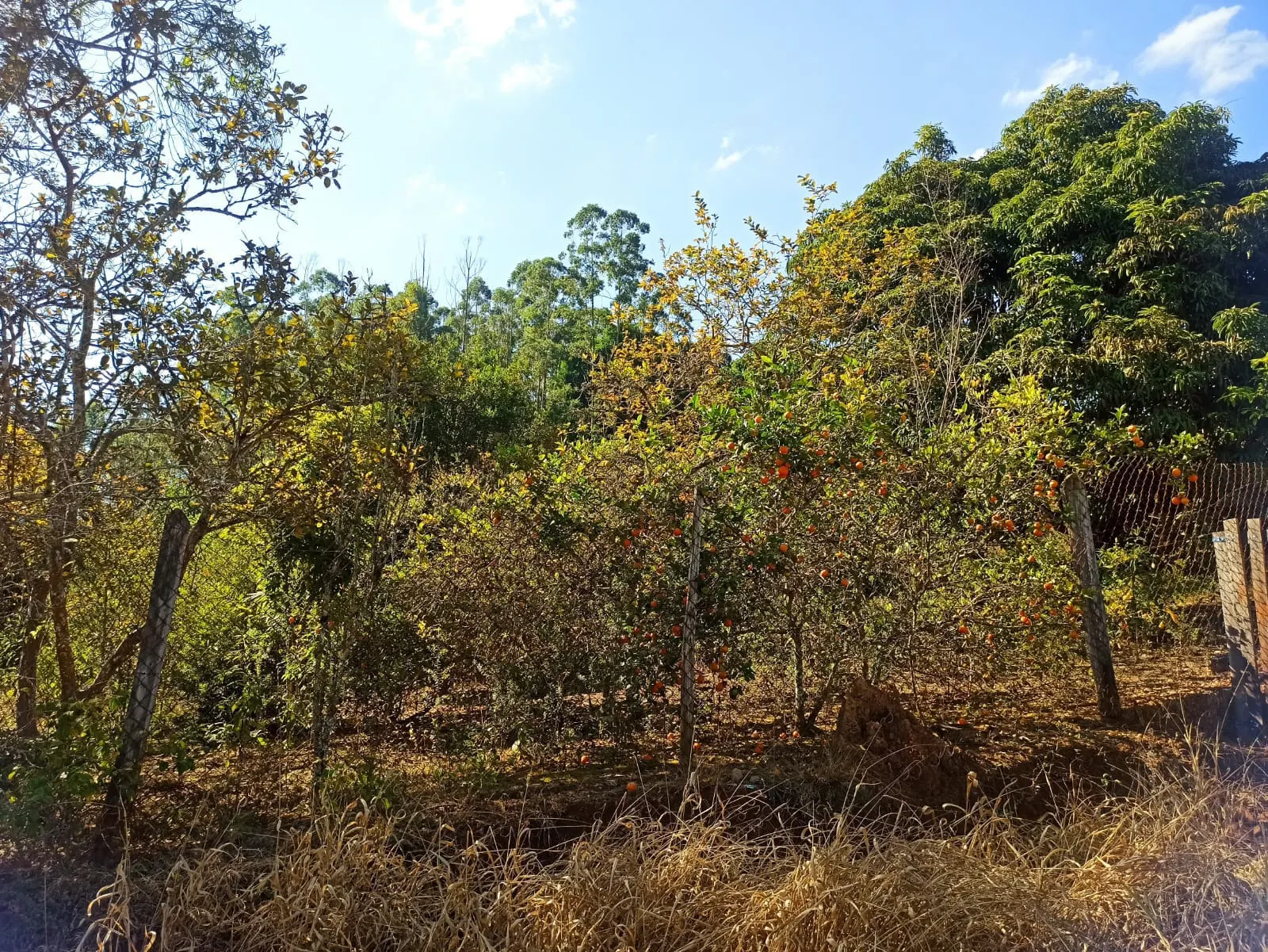 Sítio à venda de 2 ha em Monteiro Lobato, SP, Brasil