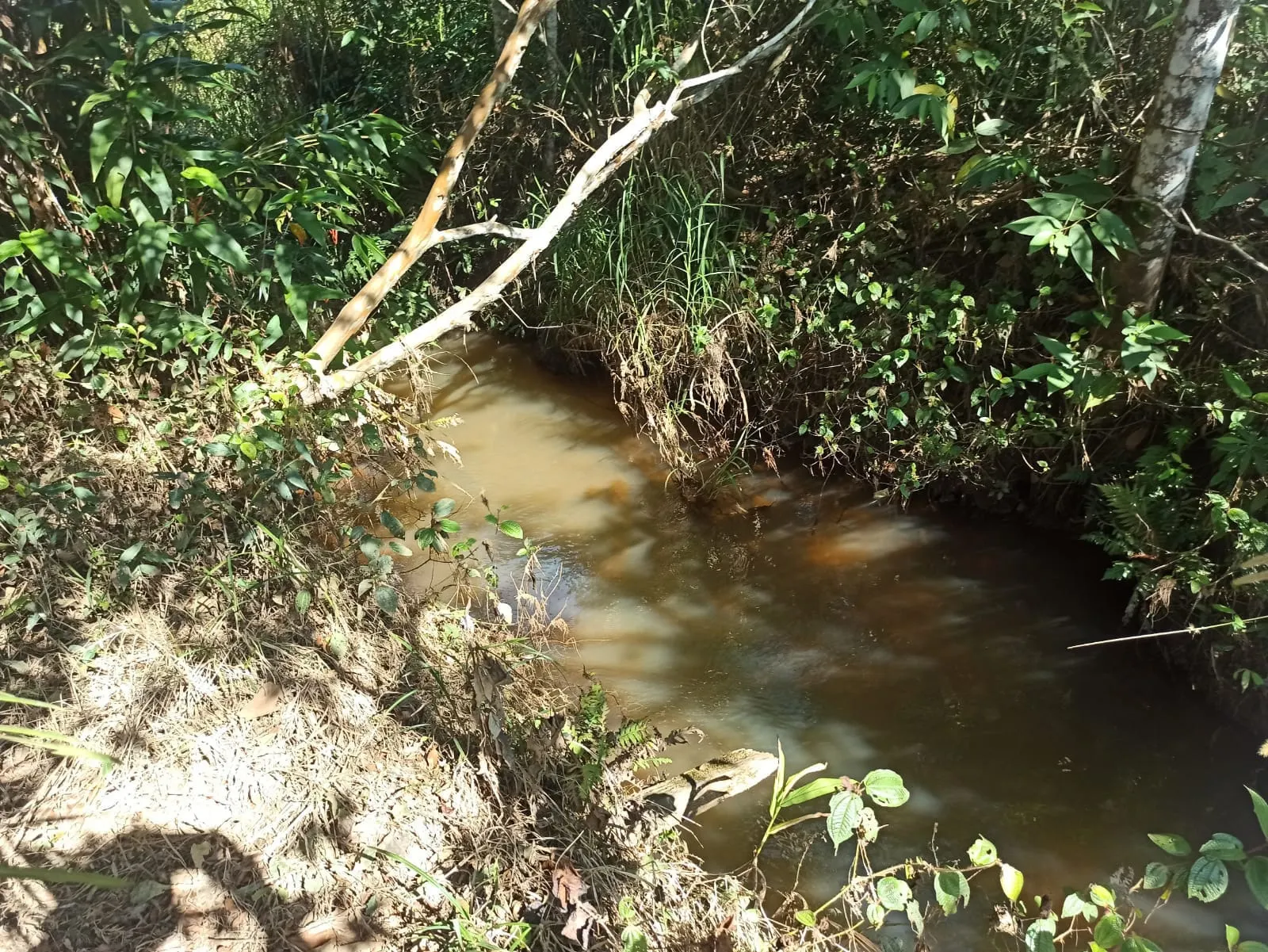 Sítio à venda de 2 ha em Monteiro Lobato, SP, Brasil