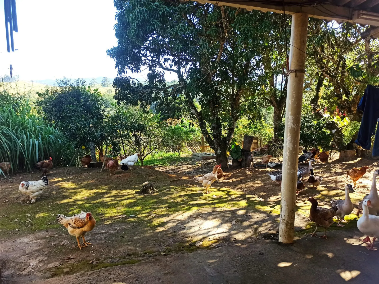 Sítio à venda de 2 ha em Monteiro Lobato, SP, Brasil