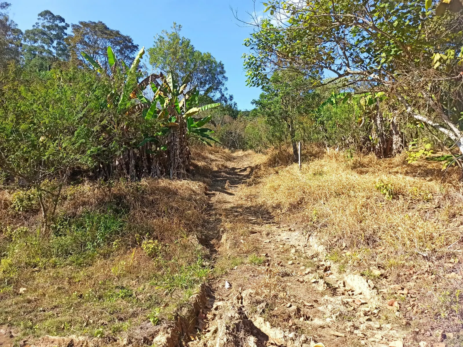 Sítio à venda de 2 ha em Monteiro Lobato, SP, Brasil
