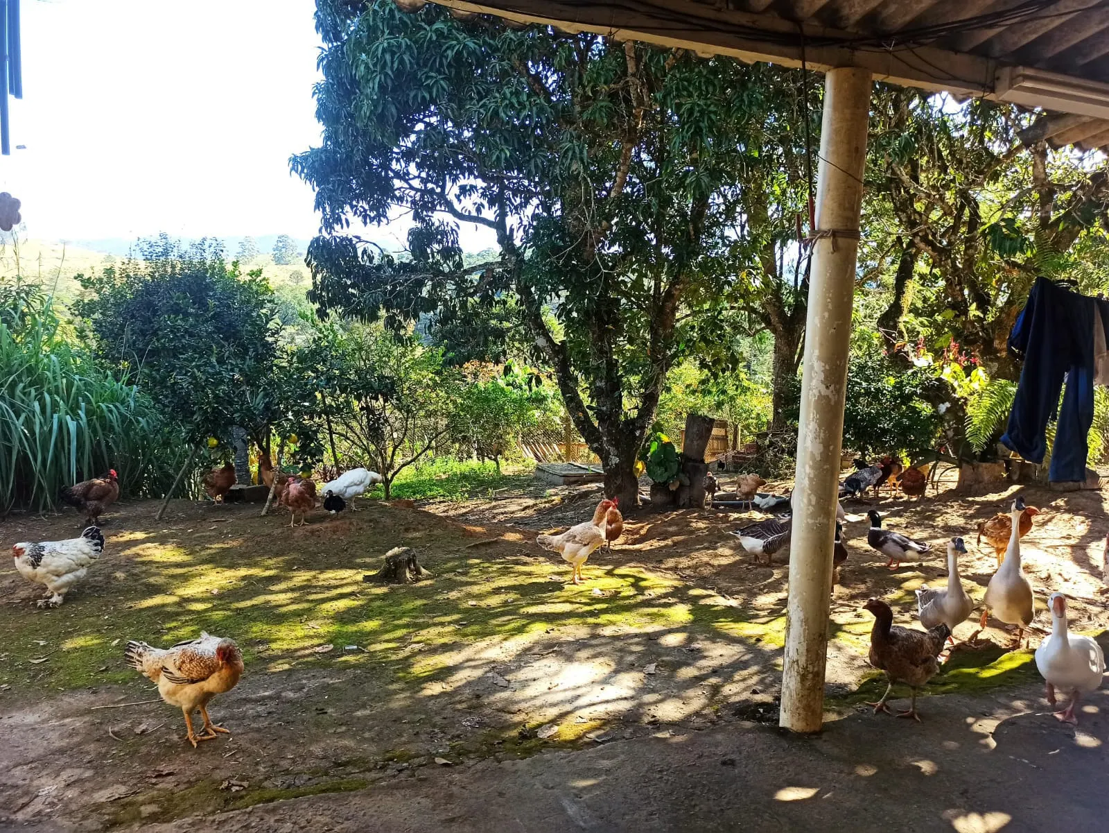 Sítio à venda de 2 ha em Monteiro Lobato, SP, Brasil