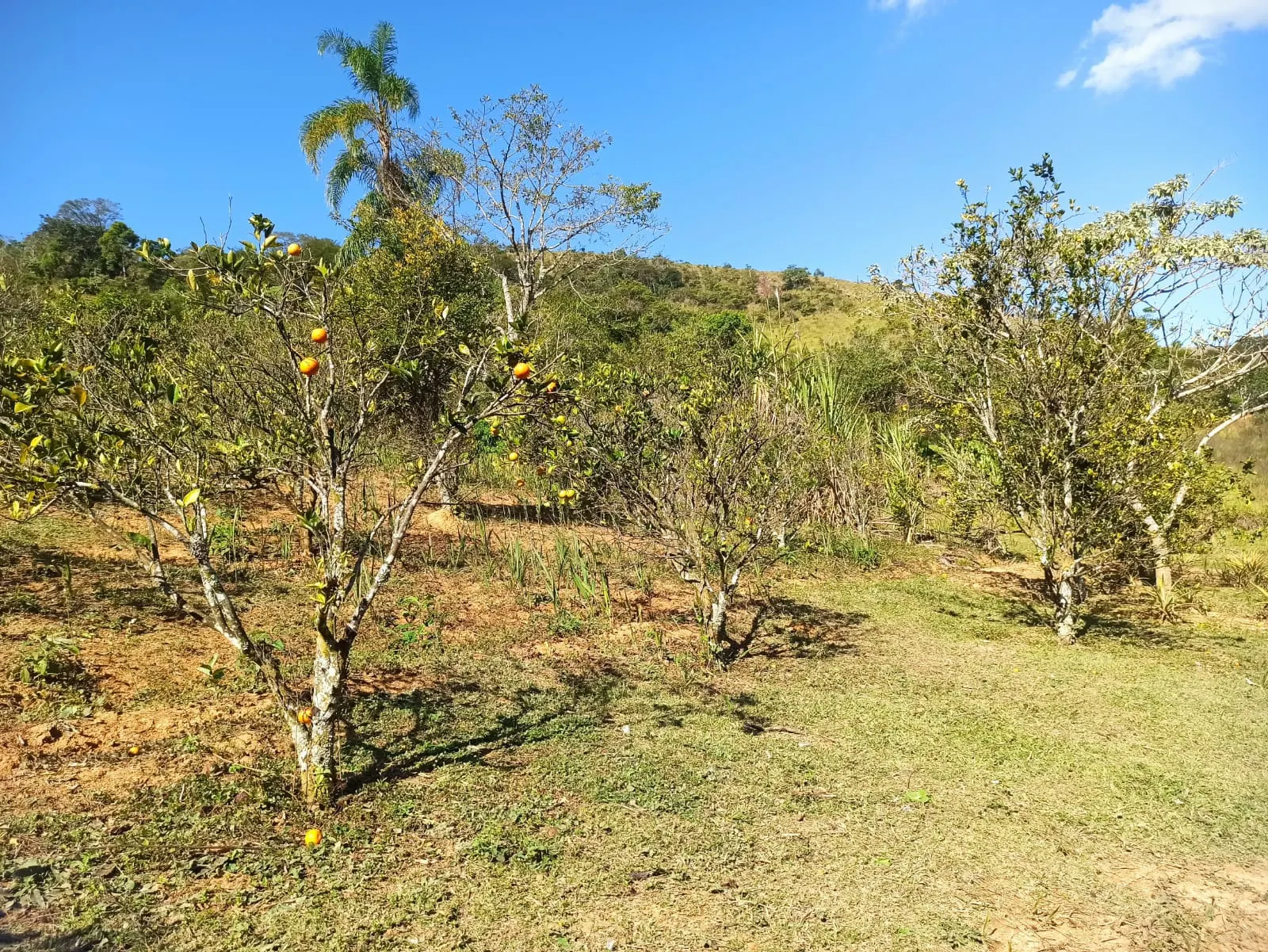Sítio à venda de 2 ha em Monteiro Lobato, SP, Brasil