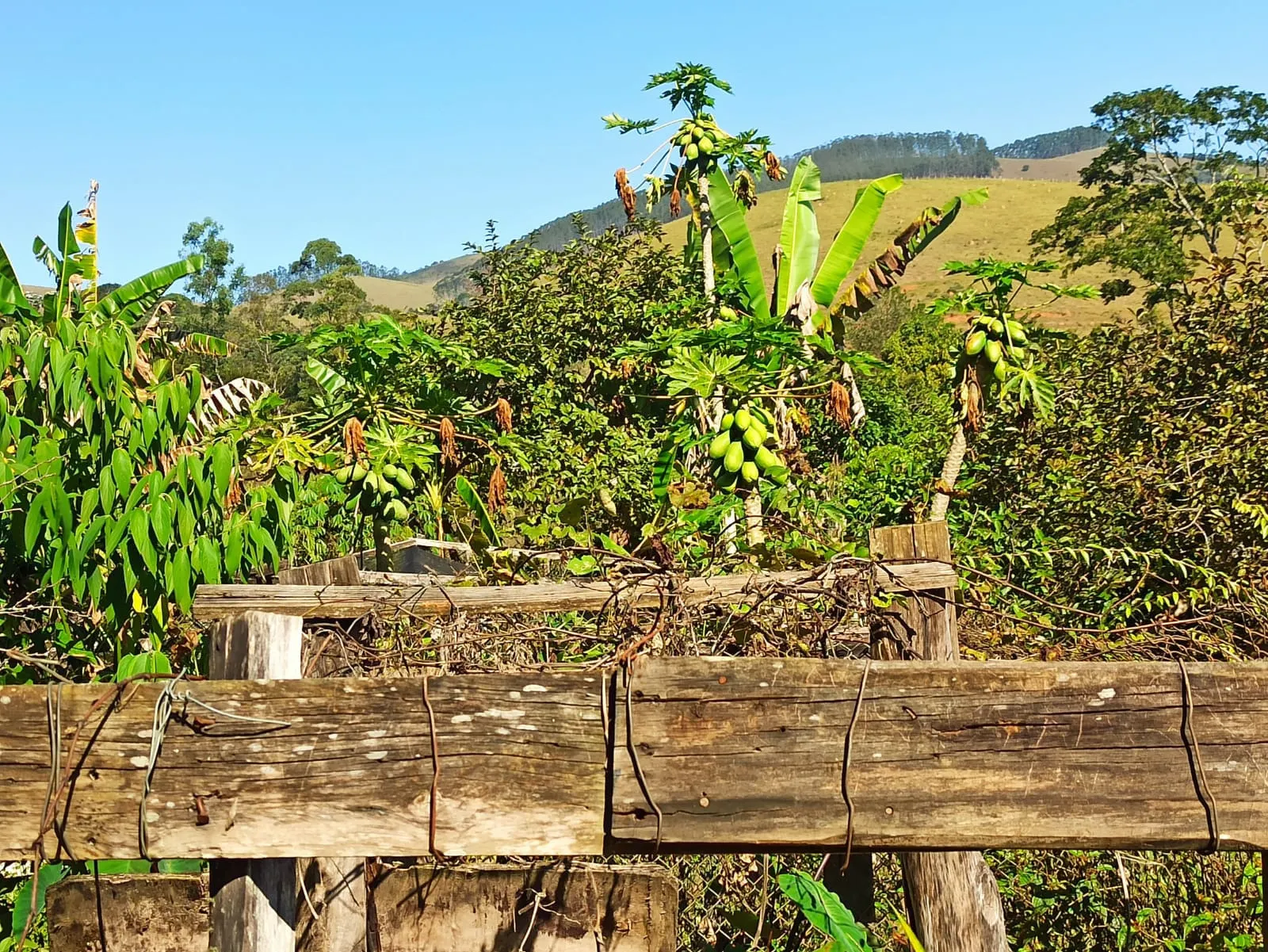 Sítio à venda de 2 ha em Monteiro Lobato, SP, Brasil