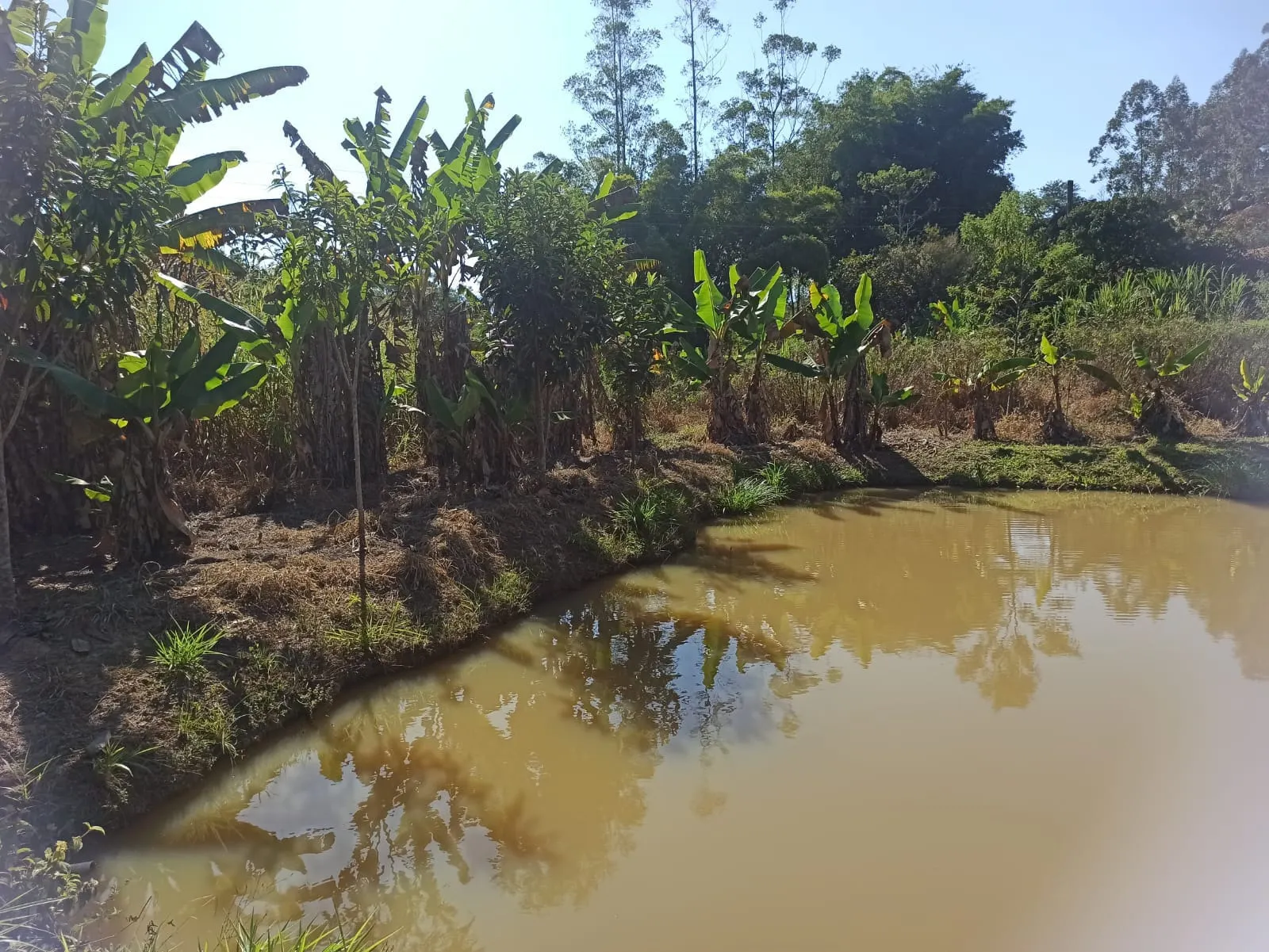 Sítio à venda de 2 ha em Monteiro Lobato, SP, Brasil