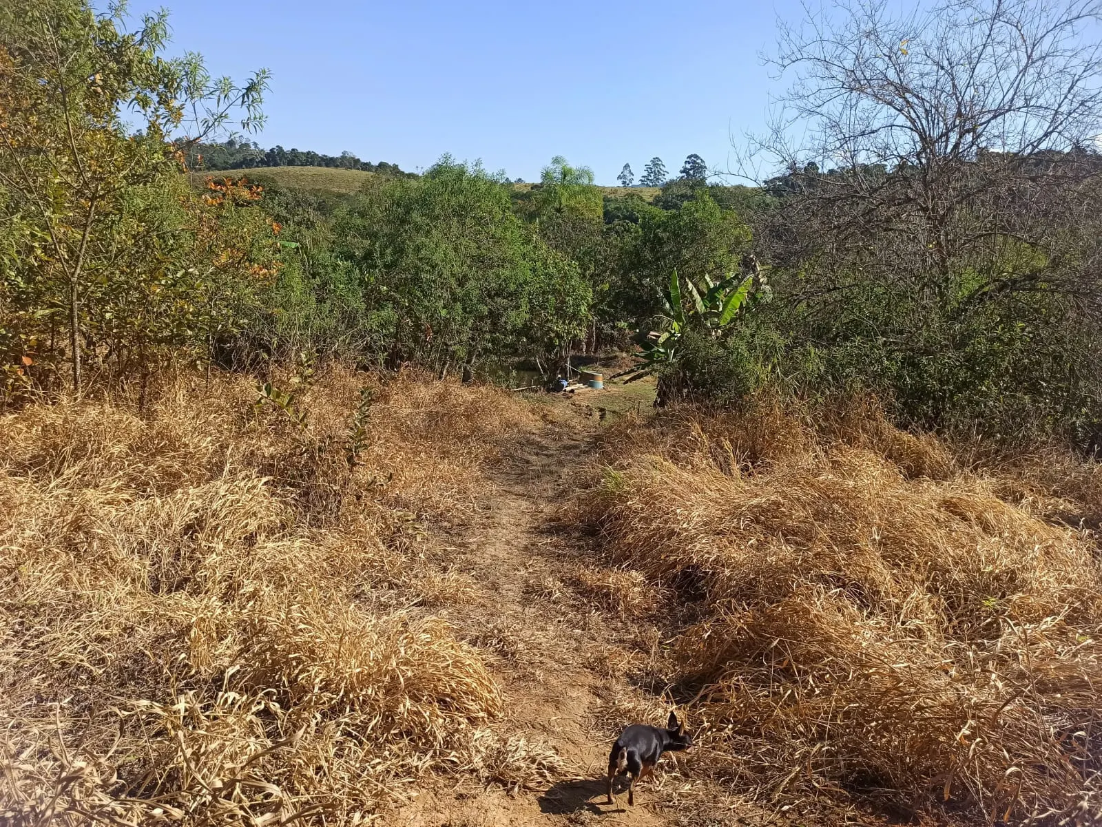 Sítio à venda de 2 ha em Monteiro Lobato, SP, Brasil