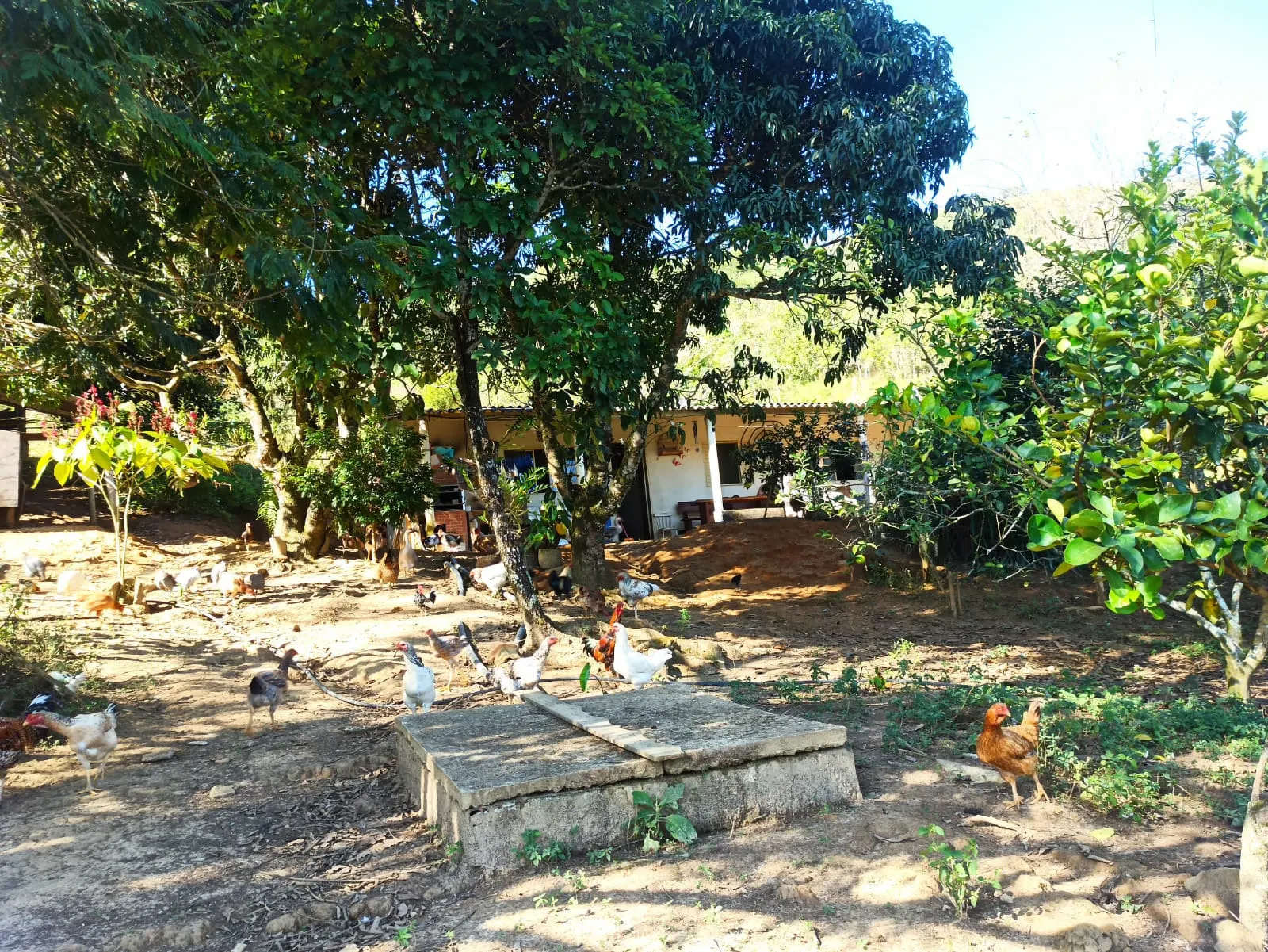 Sítio à venda de 2 ha em Monteiro Lobato, SP, Brasil