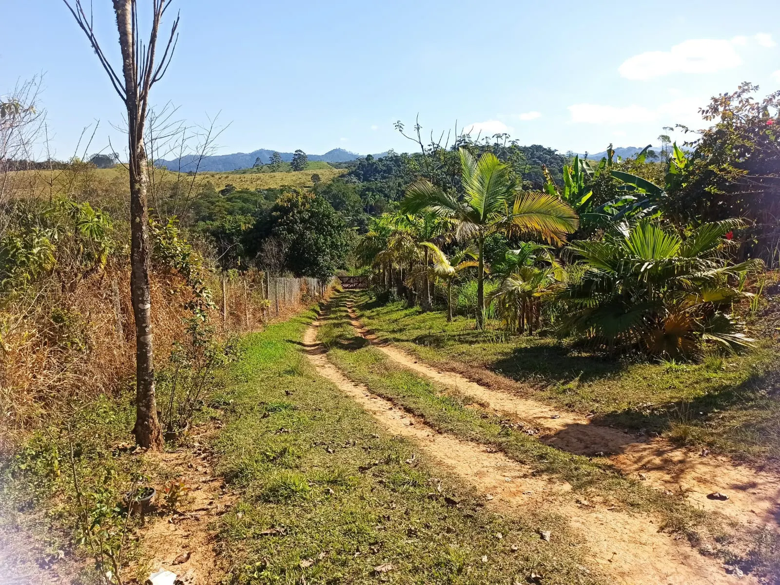 Sítio à venda de 2 ha em Monteiro Lobato, SP, Brasil
