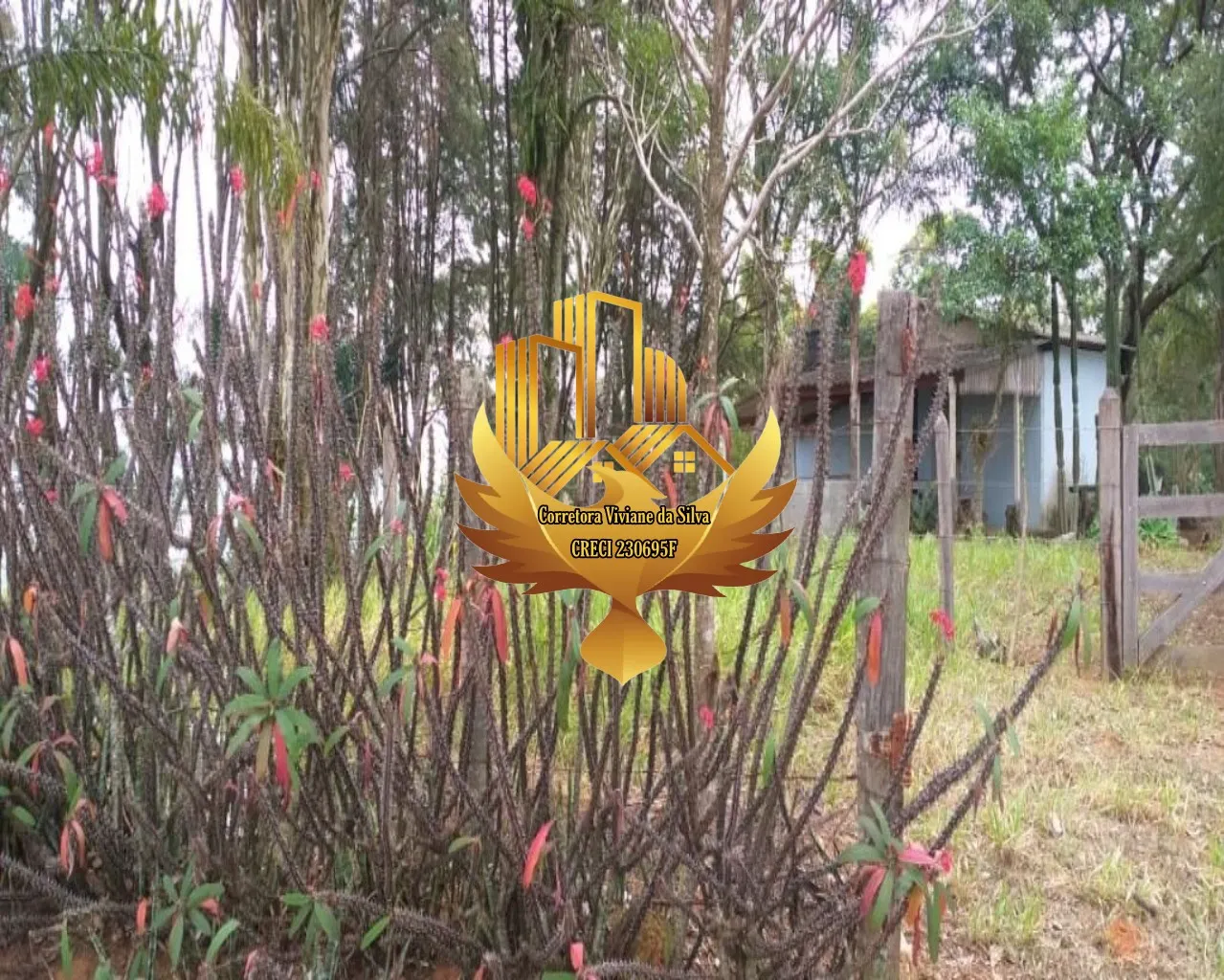Terreno à venda de 3 ha em Taubaté, SP, Brasil