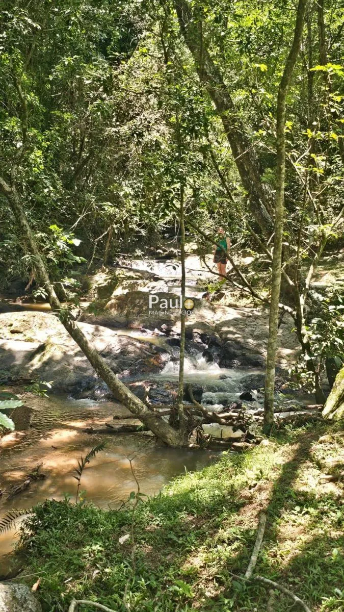 Small farm for sale of 22 acres in Valinhos, SP, Brazil