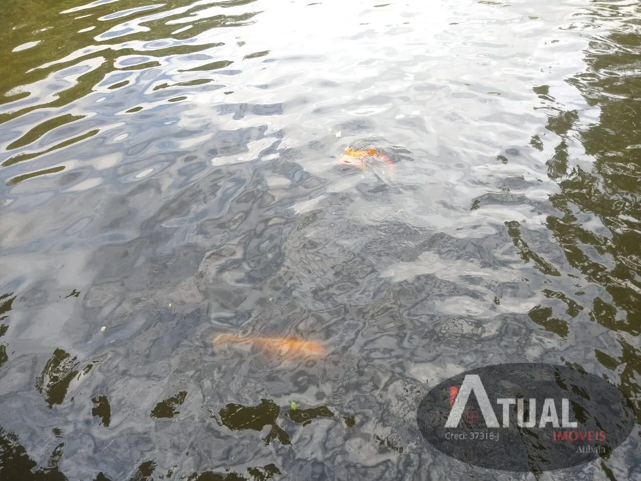 Chácara à venda de 8 ha em Nazaré Paulista, SP, Brasil
