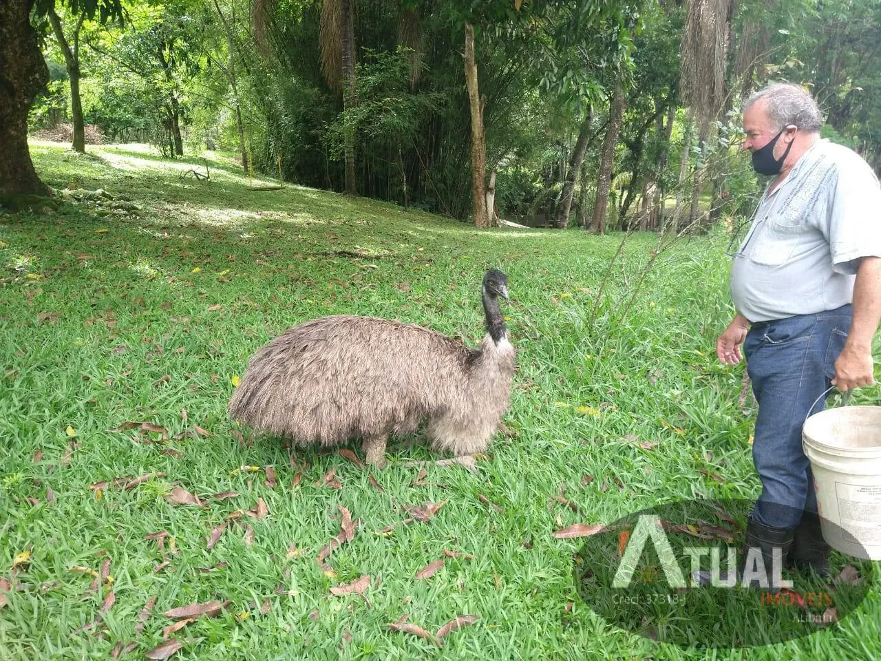 Chácara à venda de 8 ha em Nazaré Paulista, SP, Brasil
