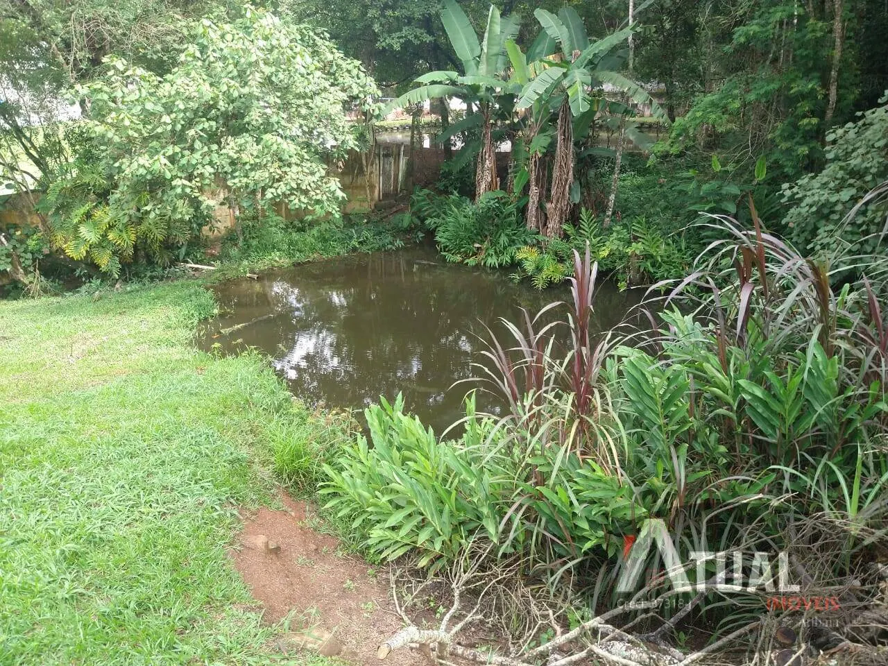 Chácara à venda de 8 ha em Nazaré Paulista, SP, Brasil