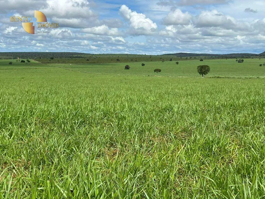 Fazenda à venda de 4.319 ha em Chapada dos Guimarães, MT, Brasil