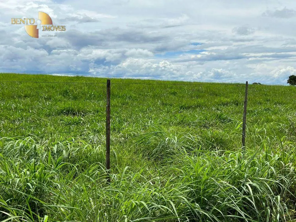 Fazenda à venda de 4.319 ha em Chapada dos Guimarães, MT, Brasil