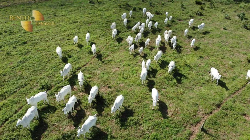 Fazenda à venda de 4.319 ha em Chapada dos Guimarães, MT, Brasil