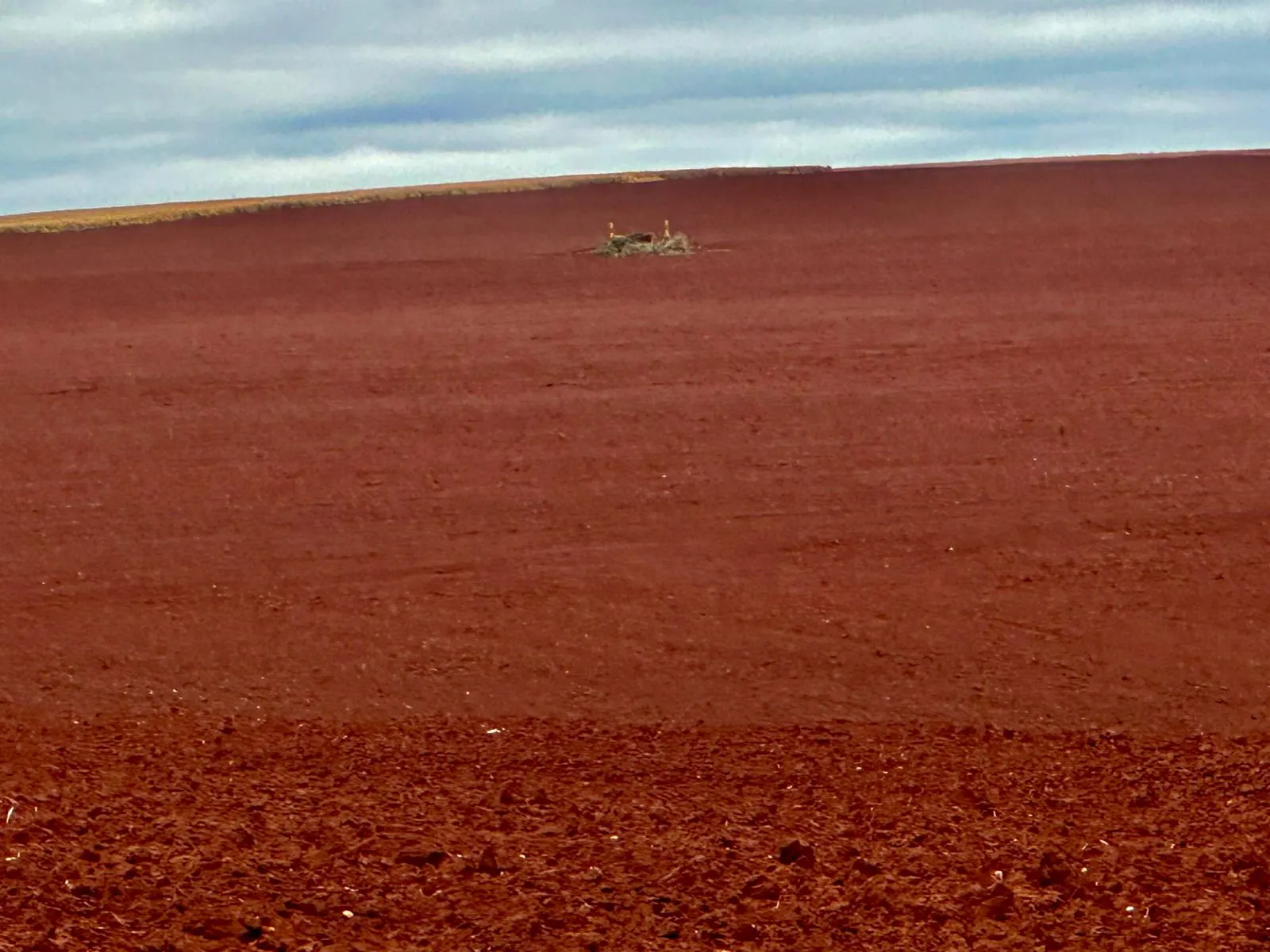 Fazenda à venda de 1.670 ha em Itaberá, SP, Brasil
