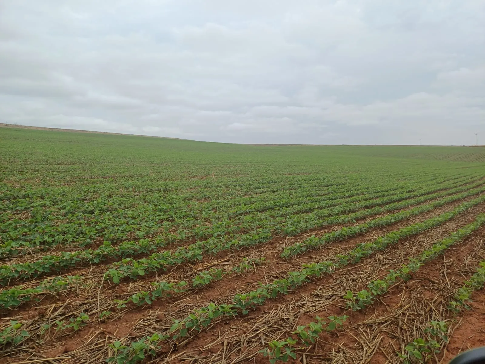 Fazenda à venda de 1.670 ha em Itaberá, SP, Brasil