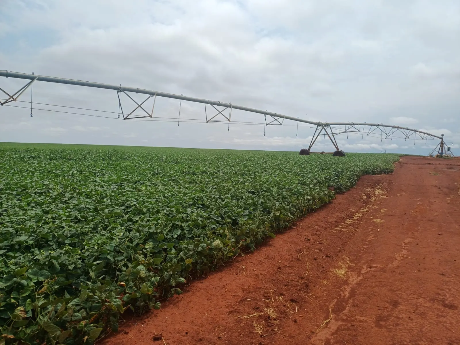 Fazenda à venda de 1.670 ha em Itaberá, SP, Brasil