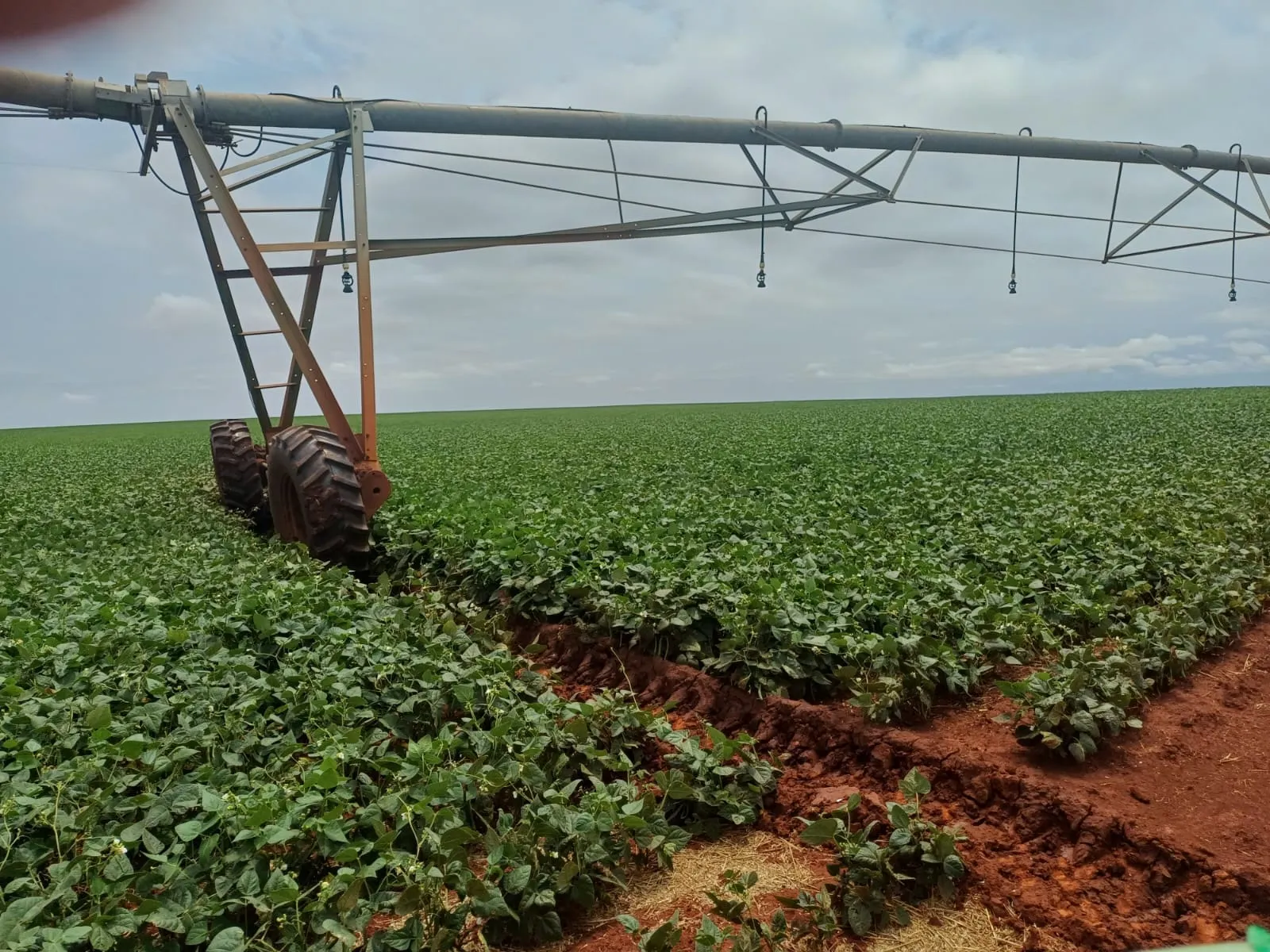 Fazenda à venda de 1.670 ha em Itaberá, SP, Brasil