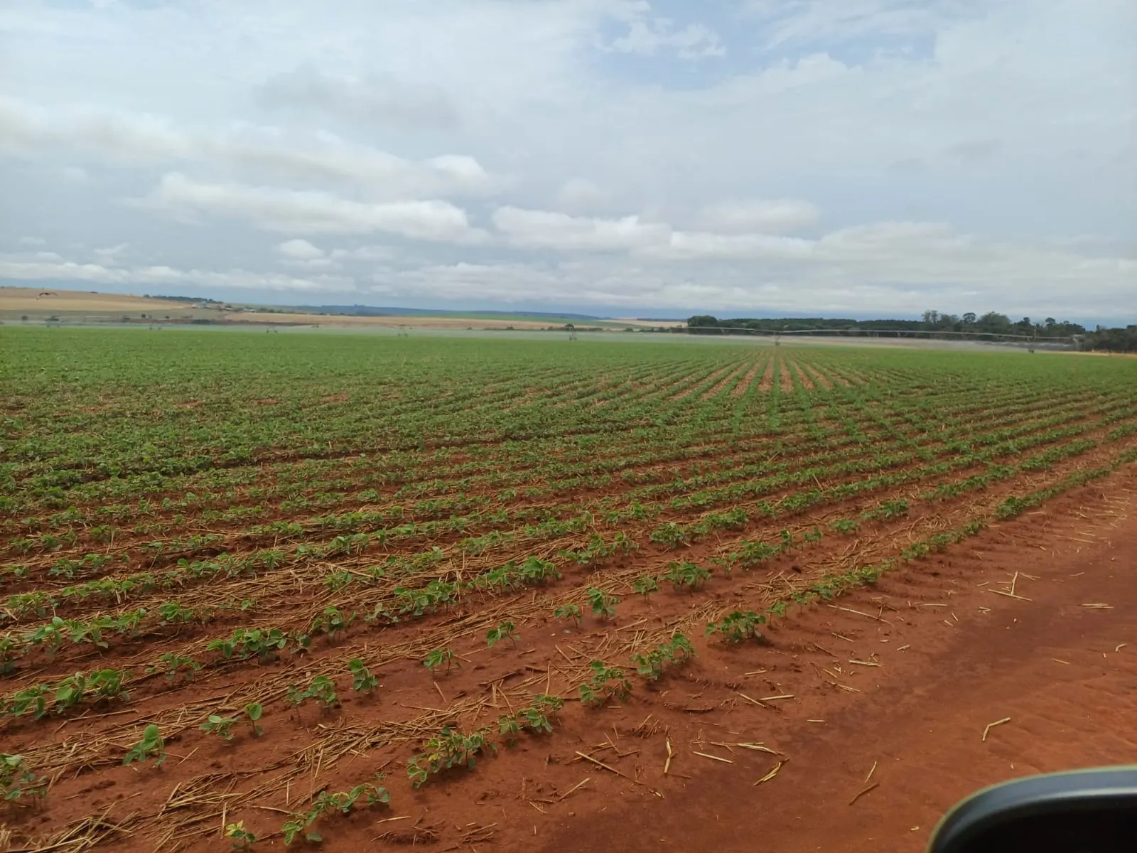 Fazenda à venda de 1.670 ha em Itaberá, SP, Brasil