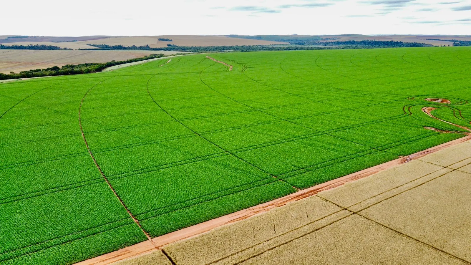 Fazenda à venda de 1.670 ha em Itaberá, SP, Brasil