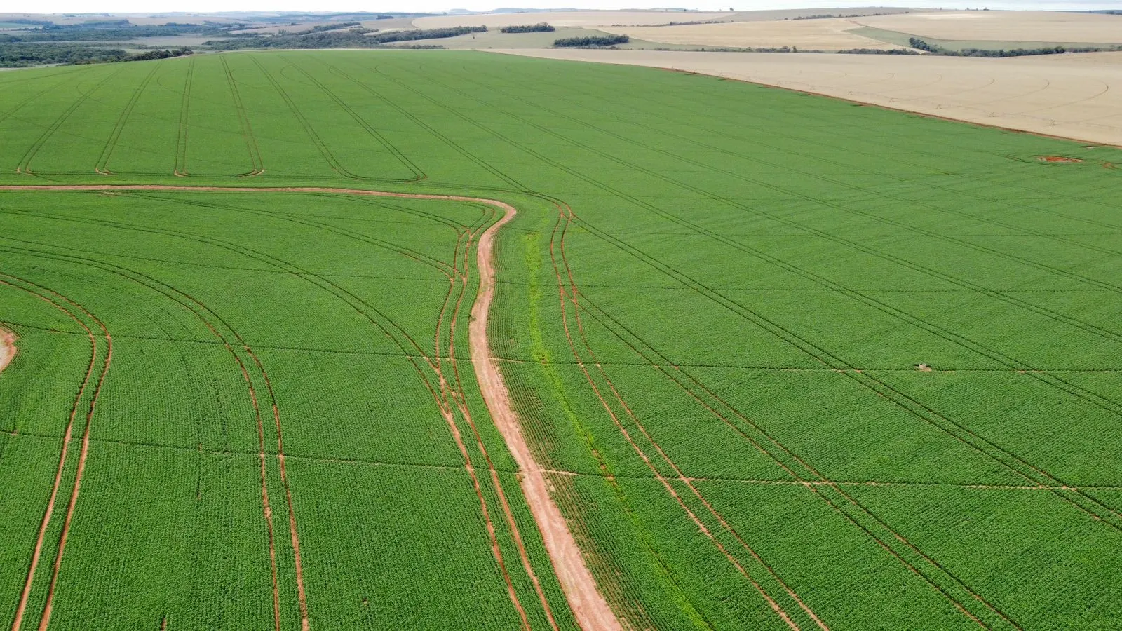 Fazenda à venda de 1.670 ha em Itaberá, SP, Brasil