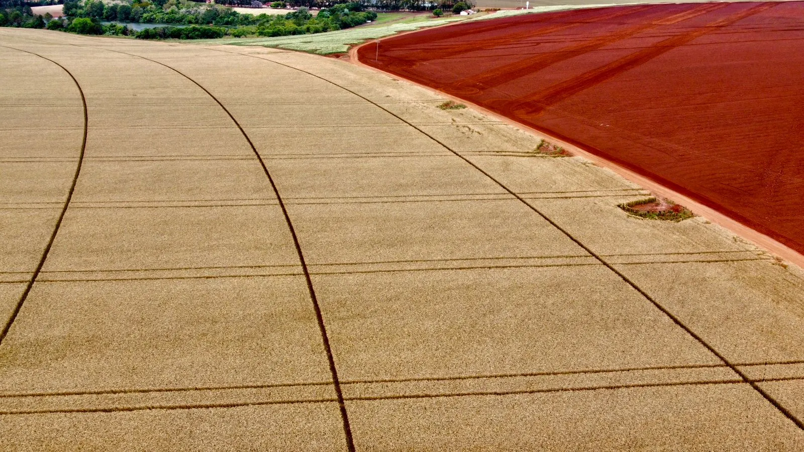 Fazenda à venda de 1.670 ha em Itaberá, SP, Brasil
