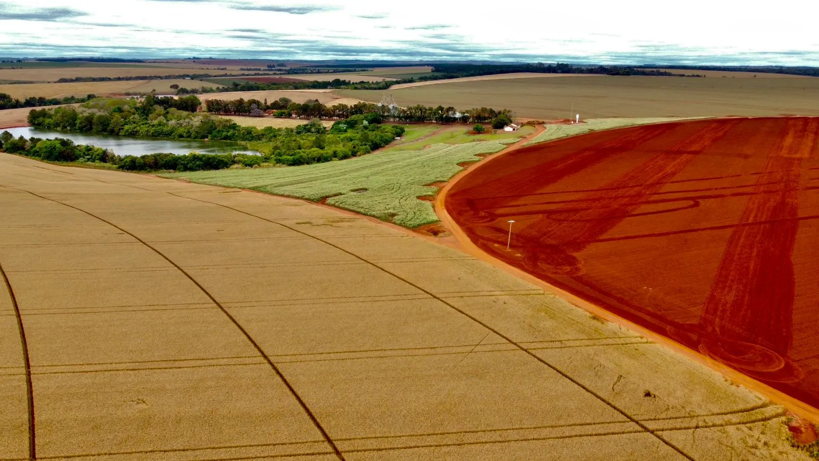 Fazenda à venda de 1.670 ha em Itaberá, SP, Brasil