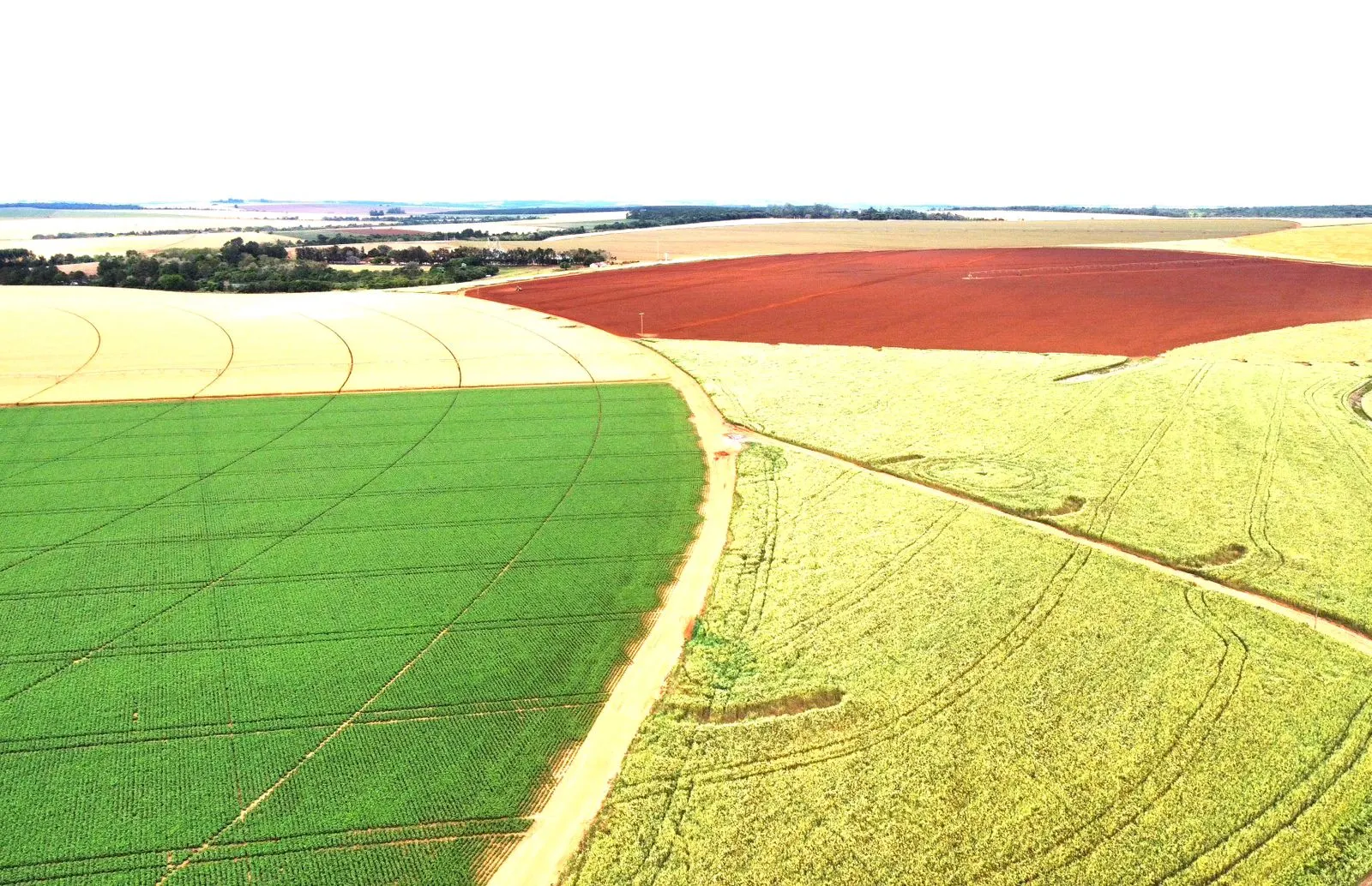 Fazenda à venda de 1.670 ha em Itaberá, SP, Brasil