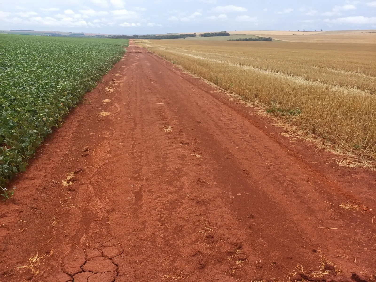 Fazenda à venda de 1.670 ha em Itaberá, SP, Brasil
