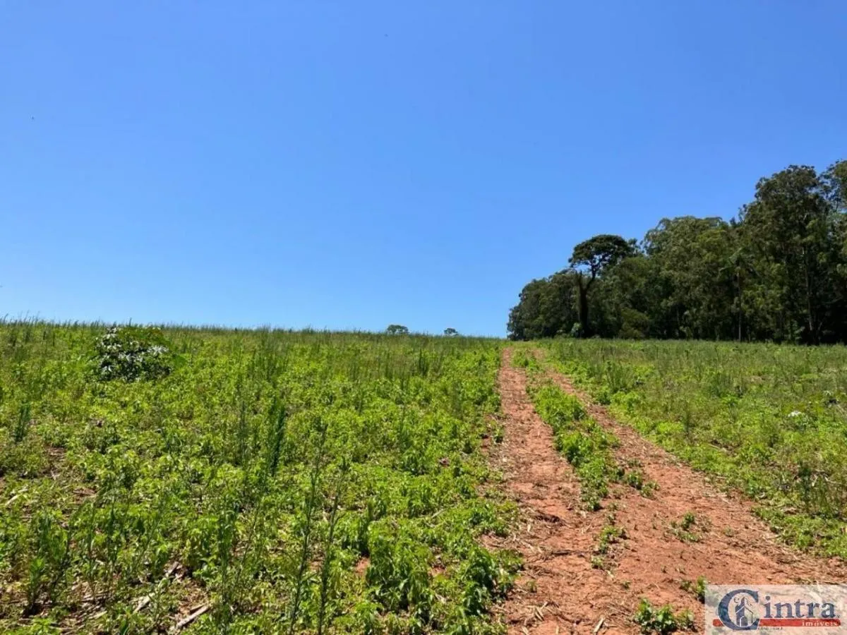 Sítio à venda de 14 ha em Bragança Paulista, SP, Brasil