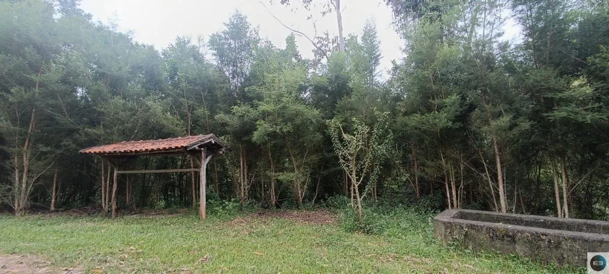 Fazenda à venda de 73 ha em Silveiras, SP, Brasil