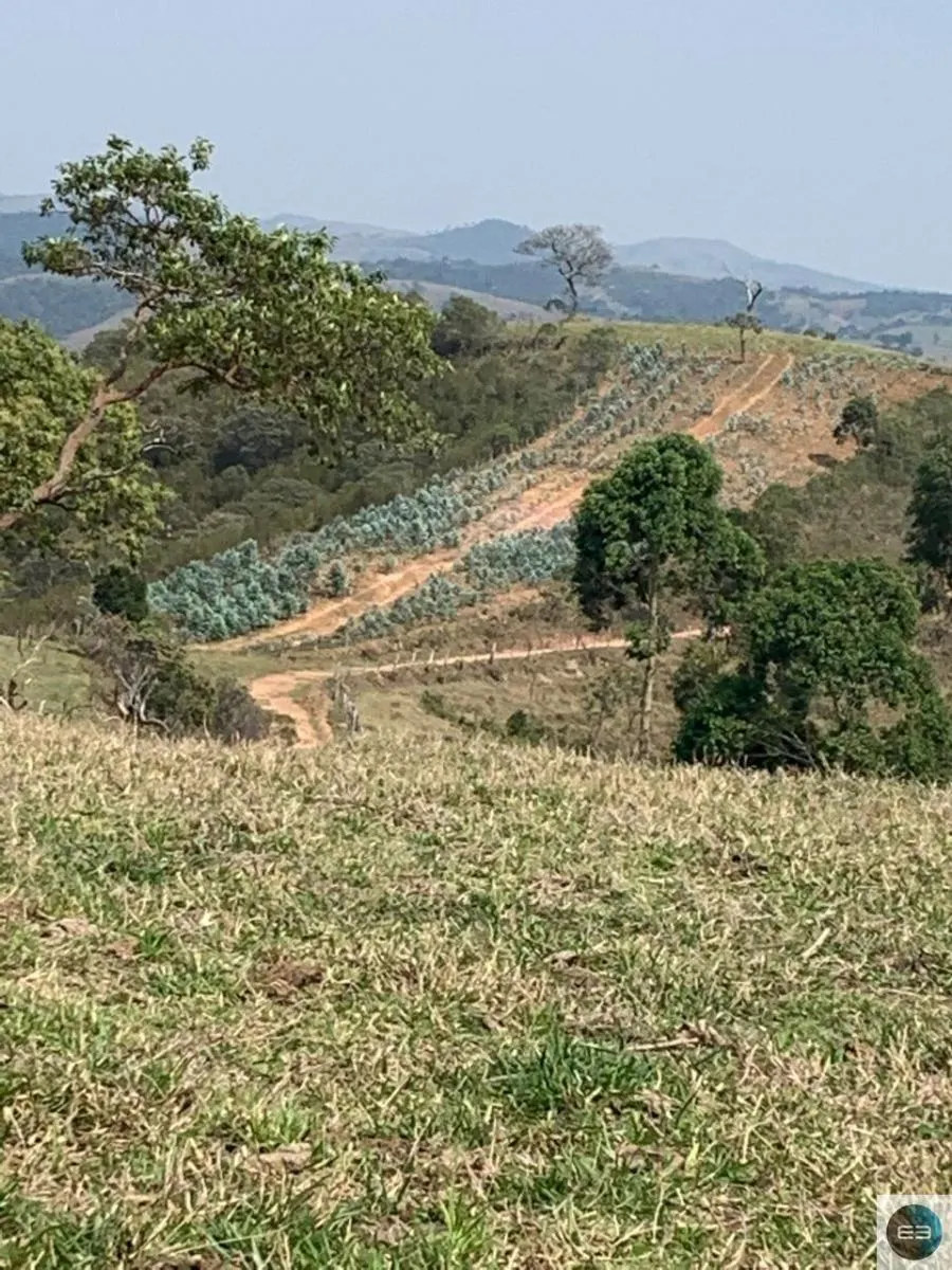 Fazenda à venda de 73 ha em Silveiras, SP, Brasil