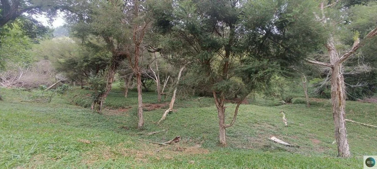 Fazenda à venda de 73 ha em Silveiras, SP, Brasil