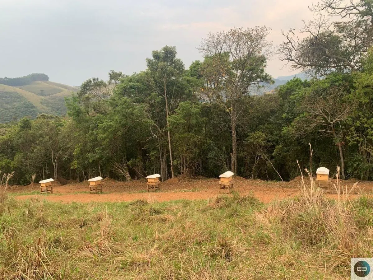 Fazenda à venda de 73 ha em Silveiras, SP, Brasil