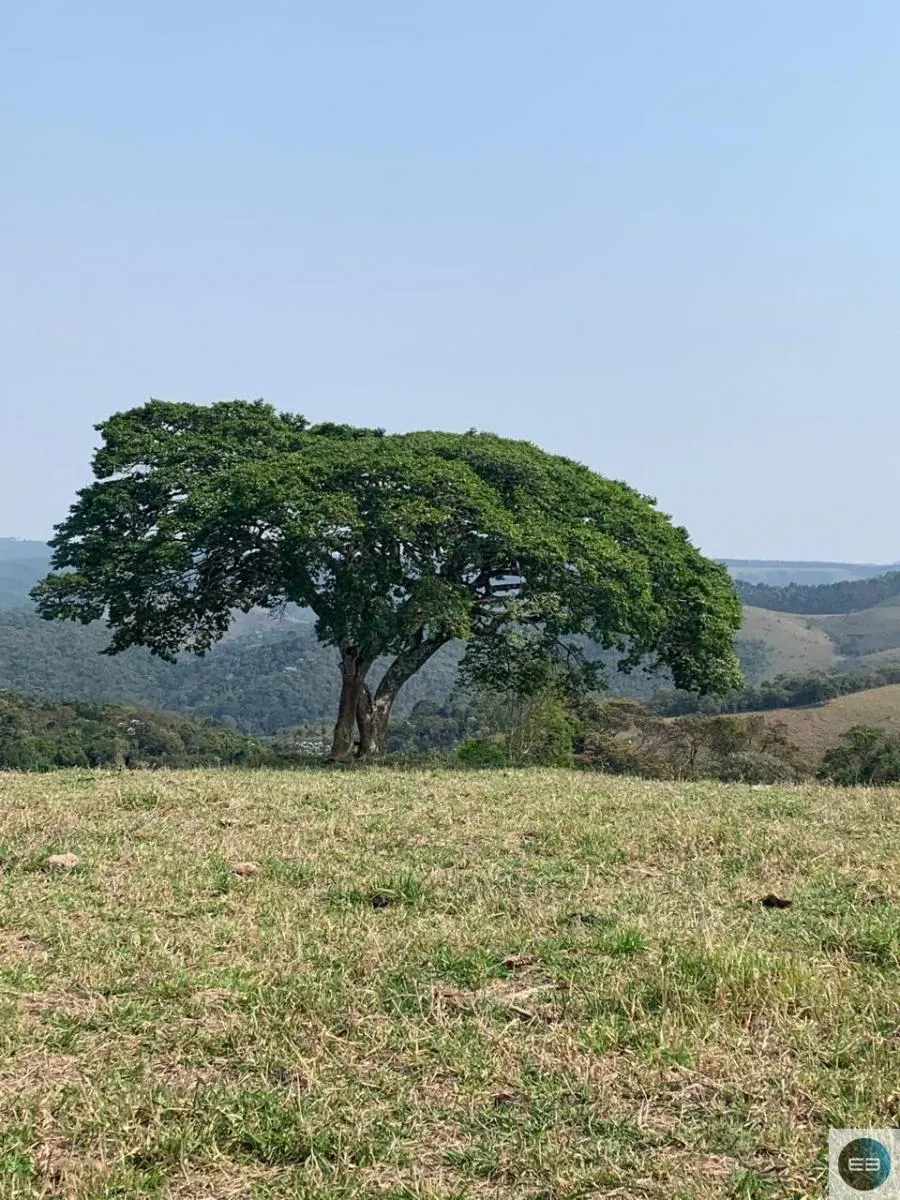 Fazenda à venda de 73 ha em Silveiras, SP, Brasil